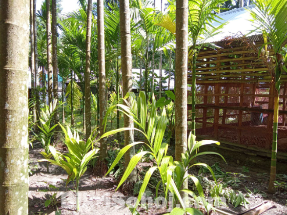 রোডের পাশে ৫ কাঠা জমি